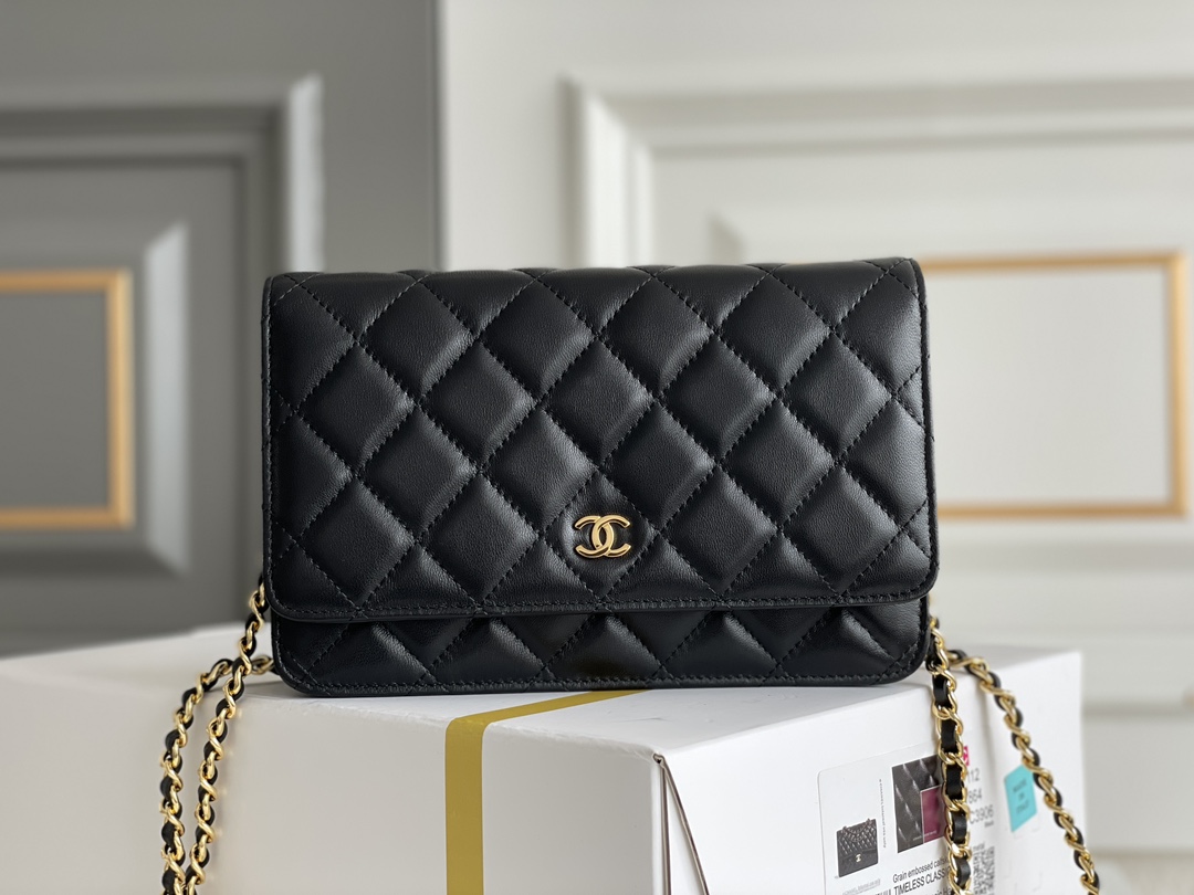 Chanel WOC Bags